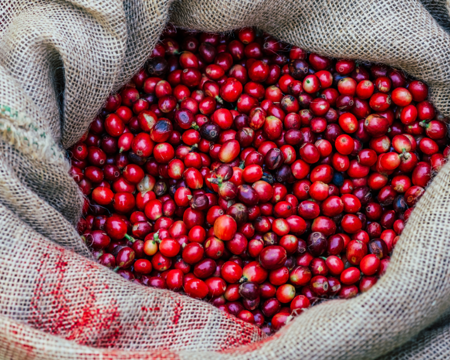 What Is Coffee Fruit? The Whole-Fruit Story Behind Frujava